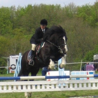 Rider at a local Riding Club show